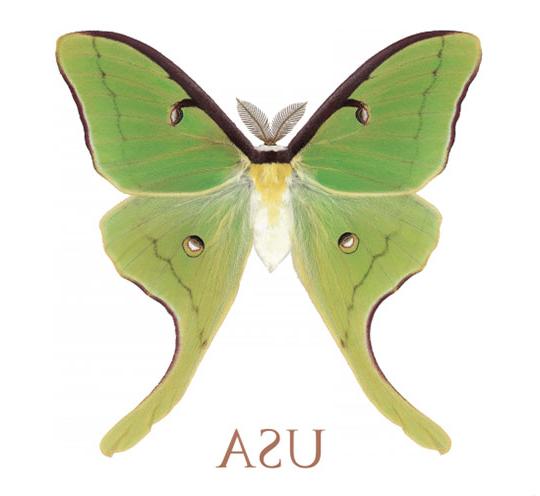 image of a green moth adorning a stamp